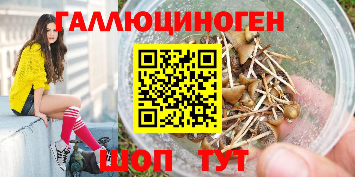 Псилоцибиновые грибы Psilocybine cubensis  Вход с VPN  Ейск  Галлюциногенные грибы прущие грибы 